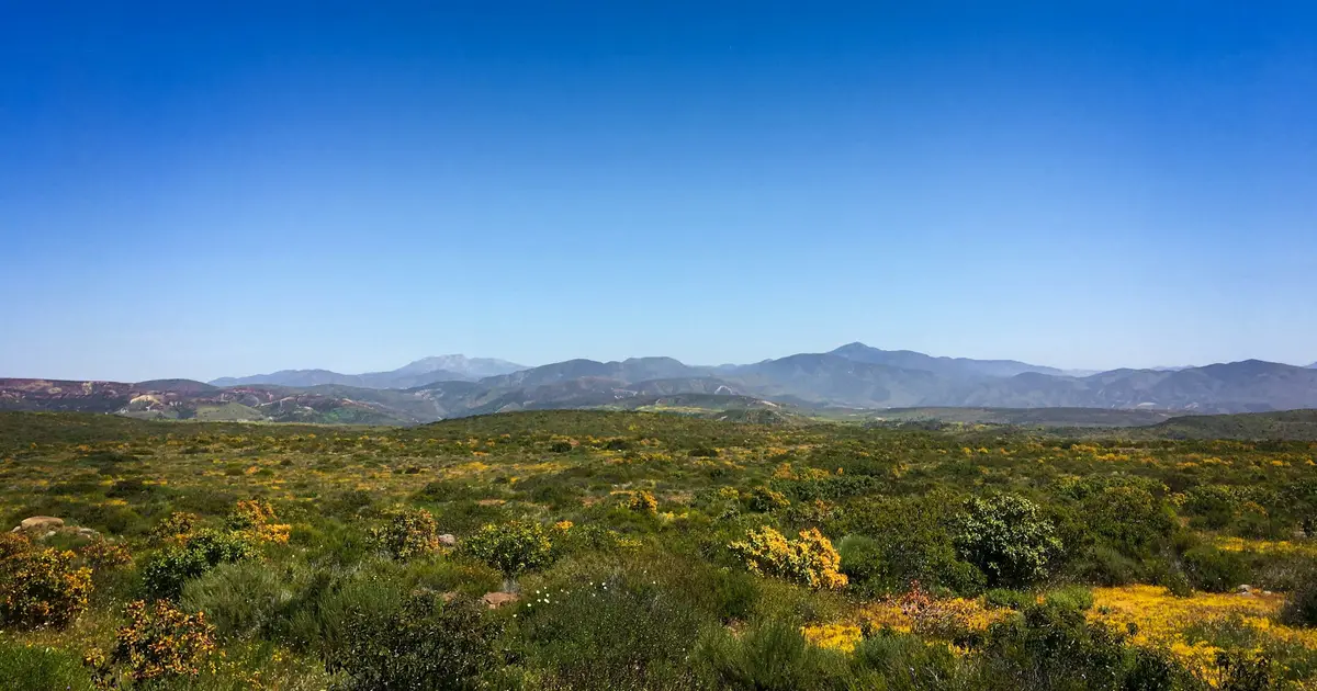 Cerros y chaparral de la región de Tecate, Baja California